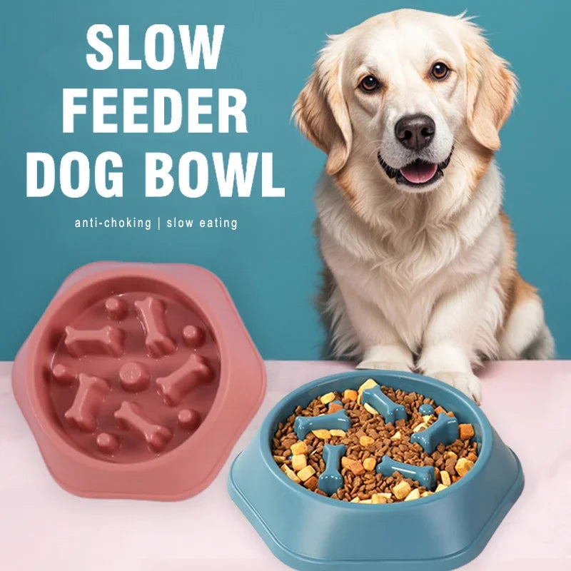 Puzzle Dog Feeder | Slow Eating Bowl