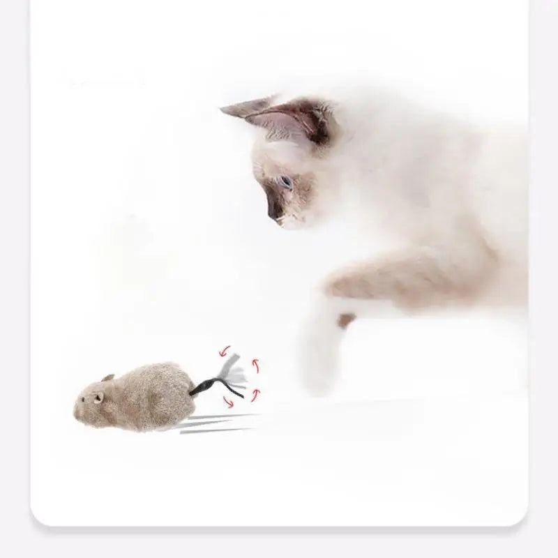 Interactive Plush Mouse Toy | Wind-Up Cat Teaser