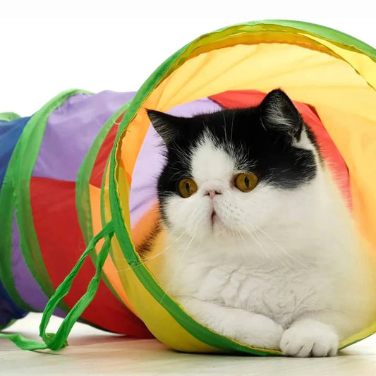 Crinkle Cat Tunnel | Indoor Play & Hide Tunnel