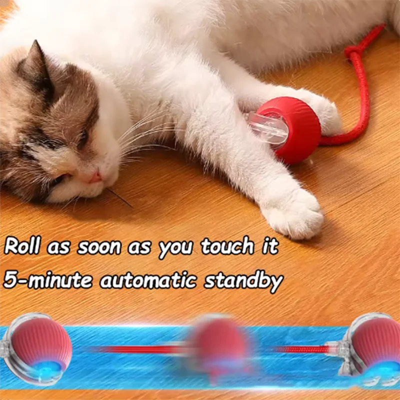Interactive Cat Chase Ball | Smart Motion Toy