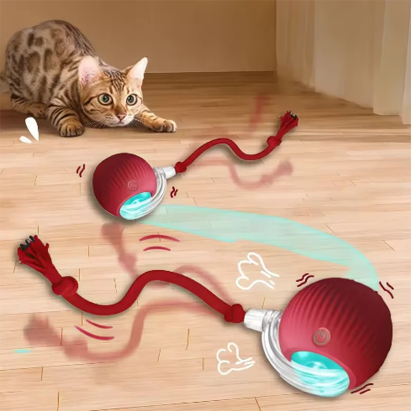 Interactive Cat Chase Ball | Smart Motion Toy