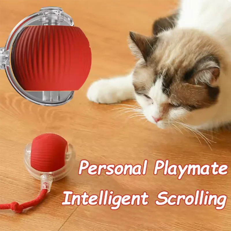 Interactive Cat Chase Ball | Smart Motion Toy