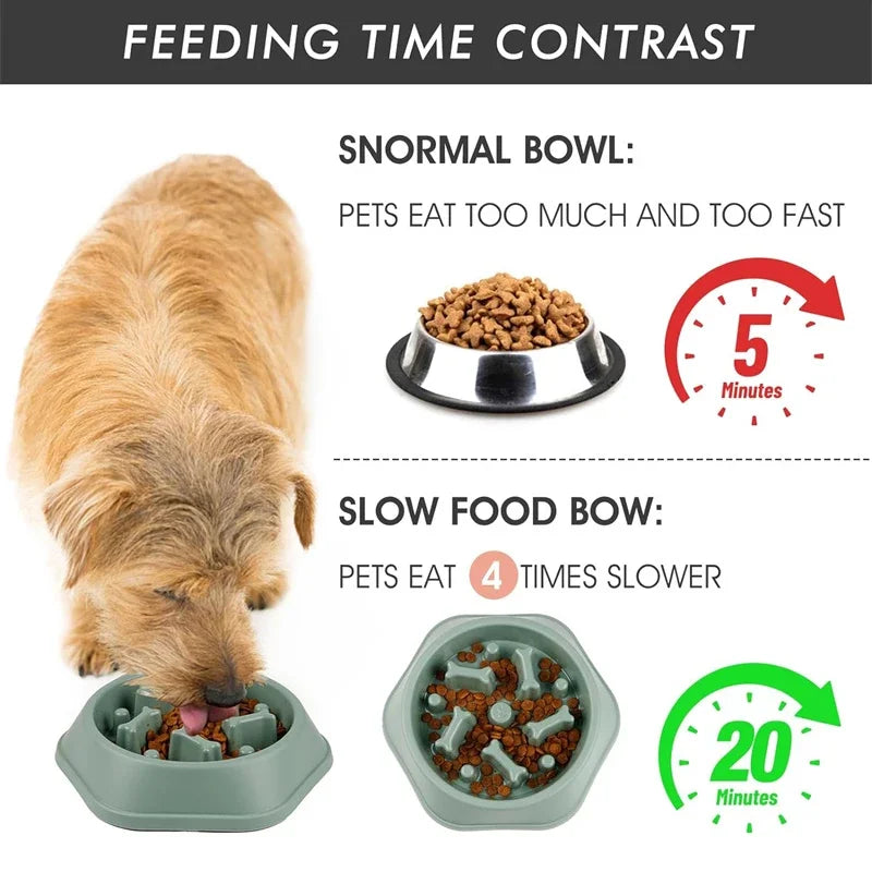 Puzzle Dog Feeder | Slow Eating Bowl