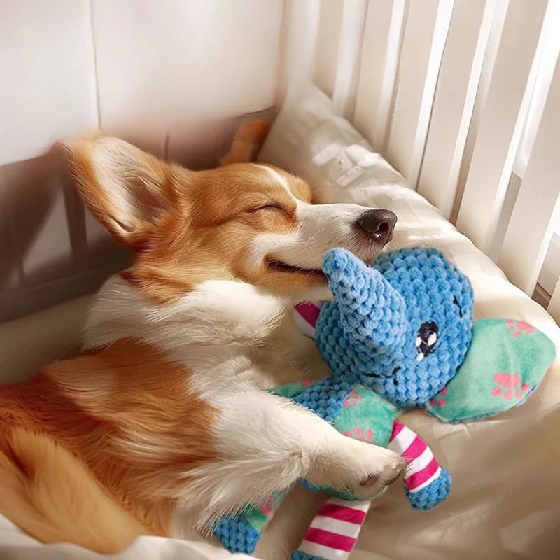Cute Animal Dog Toy | Plush Chew & Squeak Toy